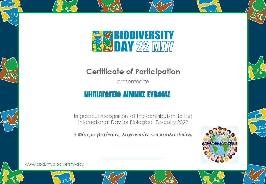 idb participation certificate en template